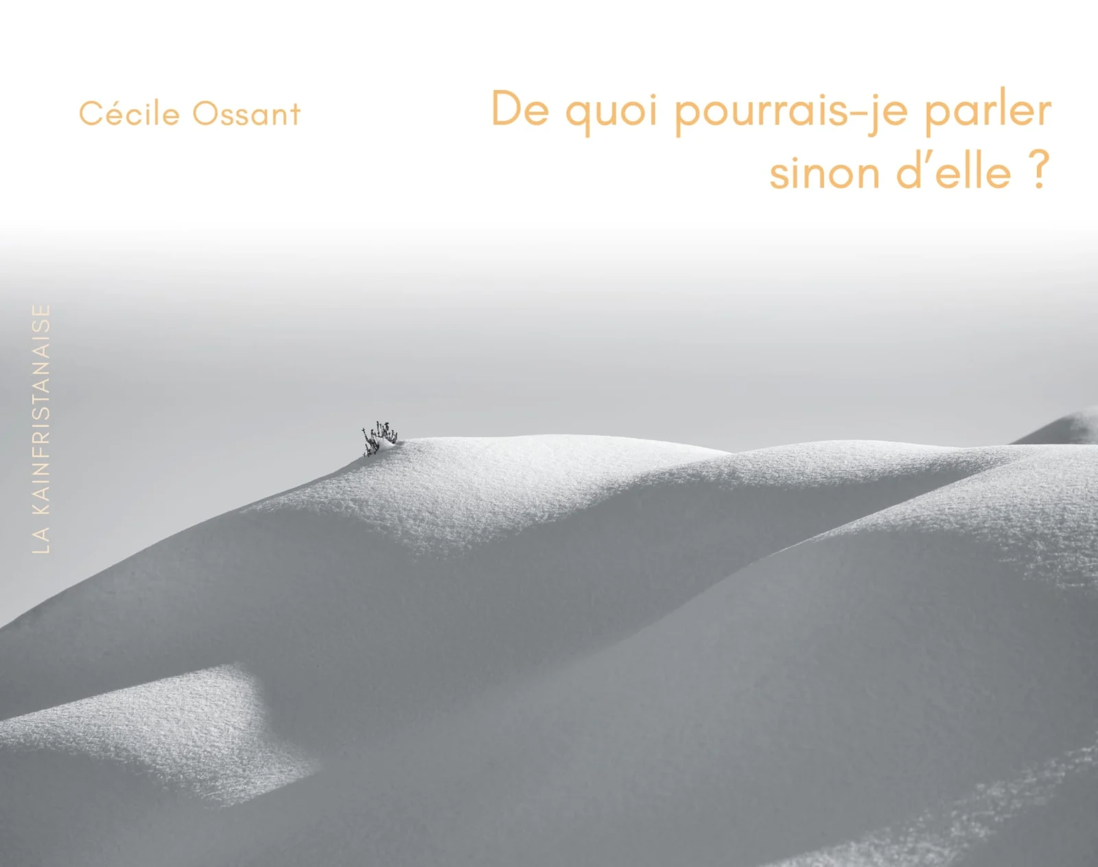 Couverture : Journal d'une voyageuse en Asir, Muriel Augry